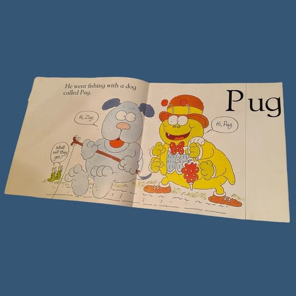 Set of 5 DK Big Books Vowel Sounds Classroom Book Pat Cat Zug Bug Tog Dog 14” - Picture 3 of 14